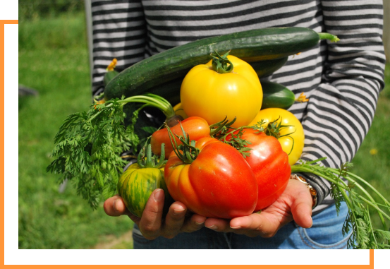 Man-holding-vegetables