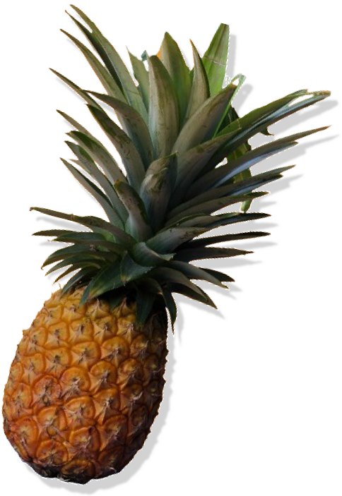 Pineapple